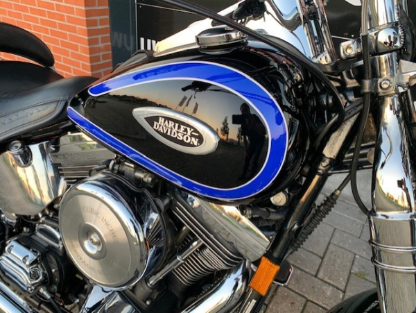 1998 FLSTS SOFTAIL SPRINGER - Afbeelding 2