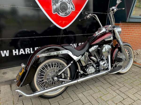 2012 FLSTC SOFTAIL MEXICAN SPECIAL - Afbeelding 5