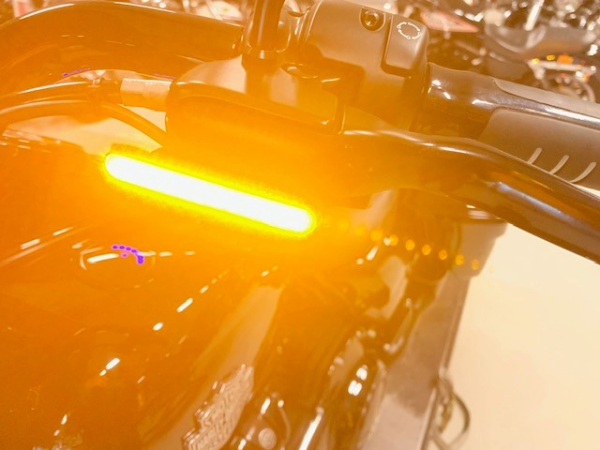 2022 FLHRXS ROADKING SPECIAL - Afbeelding 7