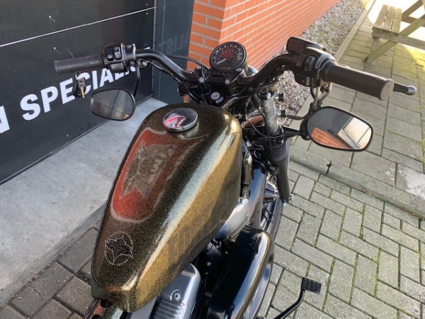 2013 XL1200X FORTY-EIGHT - Afbeelding 13