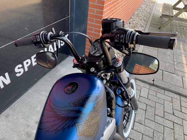 2018 SPORTSTER XL1200X ANNIVERSARY - Afbeelding 12